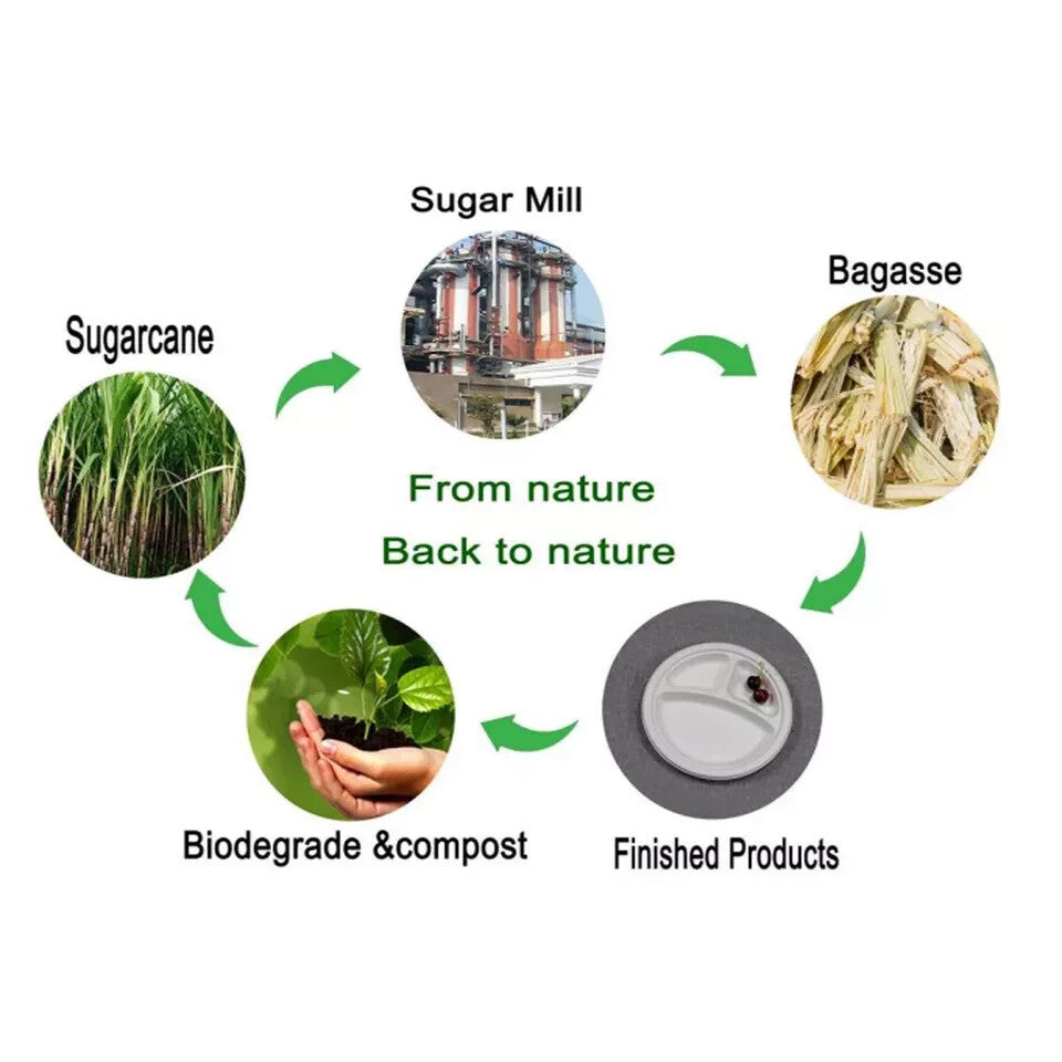 Bagasse Disposable Compartment Plates Biodegradable Paper Plates Eco Friendly UK