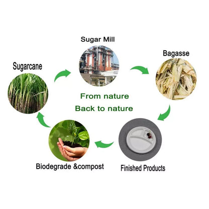 Bagasse Disposable Compartment Plates Biodegradable Paper Plates Eco Friendly UK