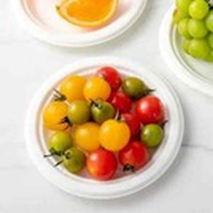 Super Rigid Strong Bagasse Paper Plates Disposable Party Plates Biodegradable
