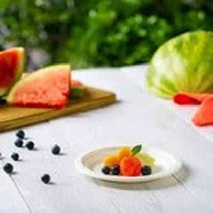 Super Rigid Strong Bagasse Paper Plates Disposable Party Plates Biodegradable