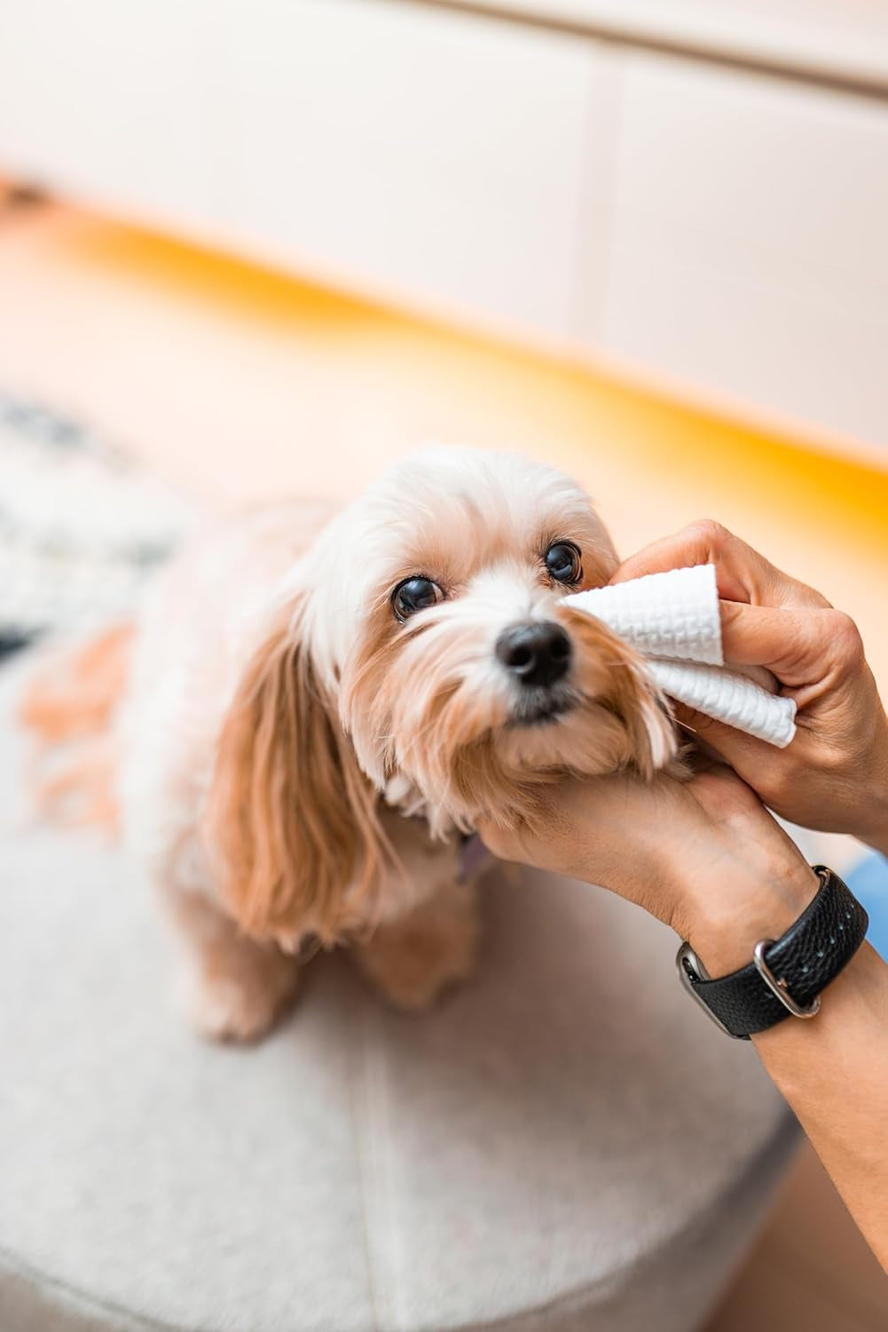 DERMA•CLEAN-50 Count-Ultra-Soft, Eco Friendly Biodegradable Face and Body and Intimate Wipes. Single-Use Makeup Remover and Quick On-The-Go Washcloth. Dry Wipes, Baby Wipes, Disposable Face Towels