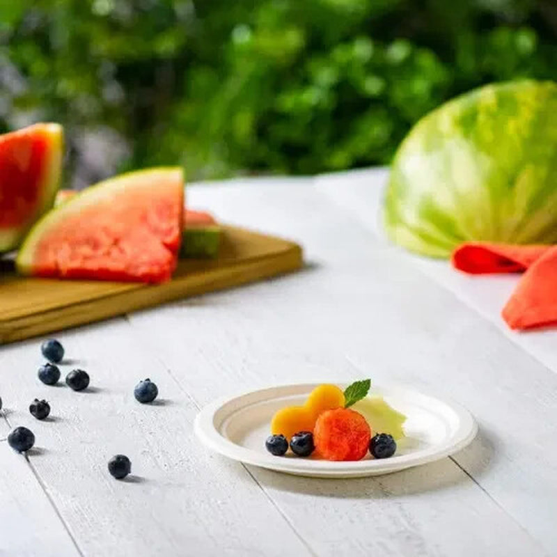 Super Rigid Strong Bagasse Paper Plates Disposable Party Plates Biodegradable